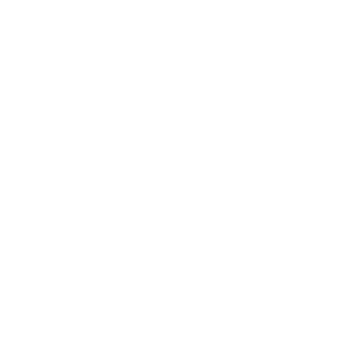 SICHERHEITSDIENST BERN